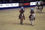 Quadrille - 00210